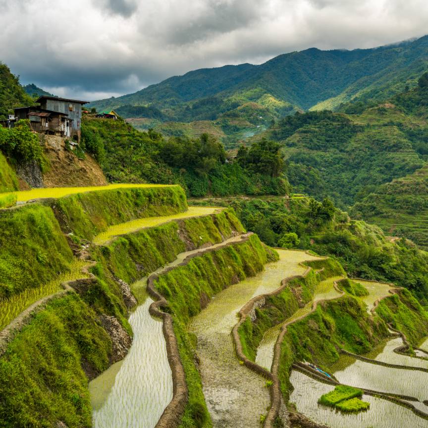 Terrazze di riso di Banaue nelle Filippine